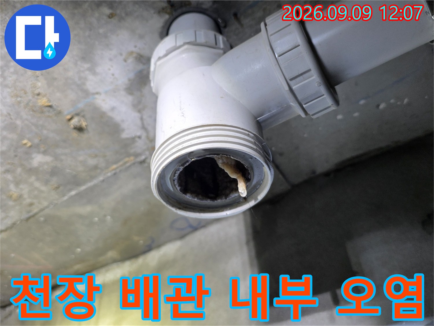 흰색 배관 연결부 안쪽의 머리카락과 슬러지 모습