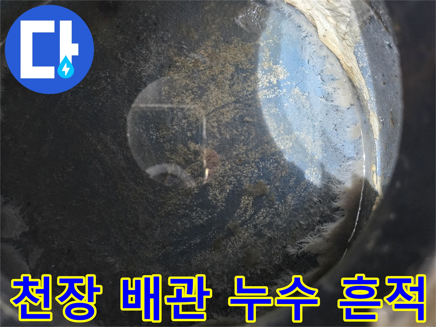 세탁실-천장-배관-주변-누수-흔적-상세-사진