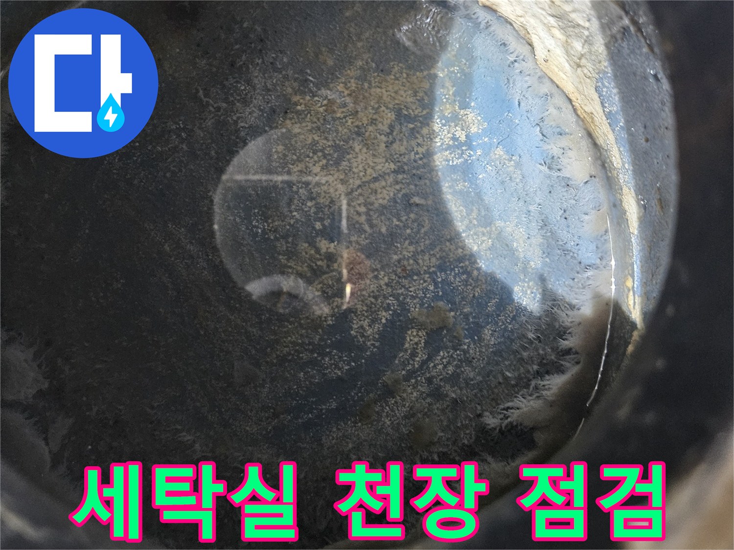 용인 처인구 세탁실-천장 내부 누수 상태 확인