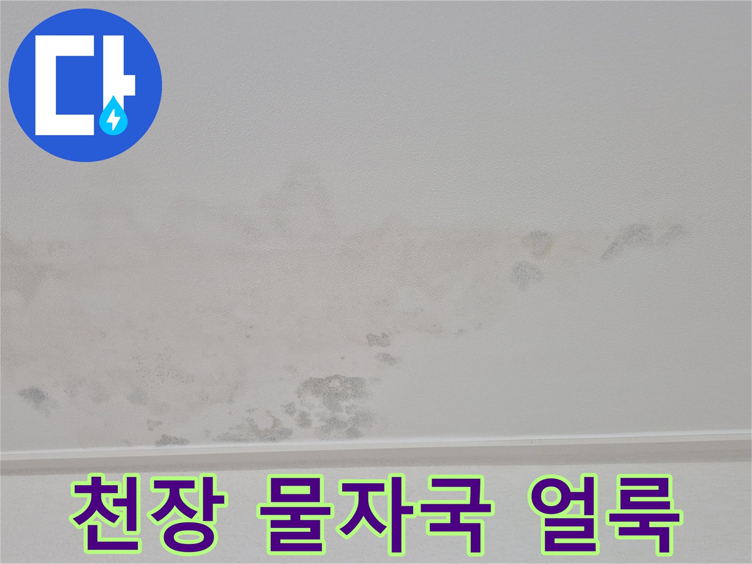 물샘-증상이-나타난-천장-벽지-면적