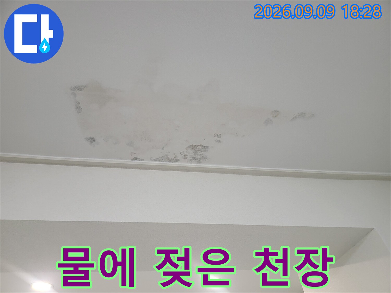 천장 도배지가 습기로 인해 어둡게 변색된 현장 사진입니다.