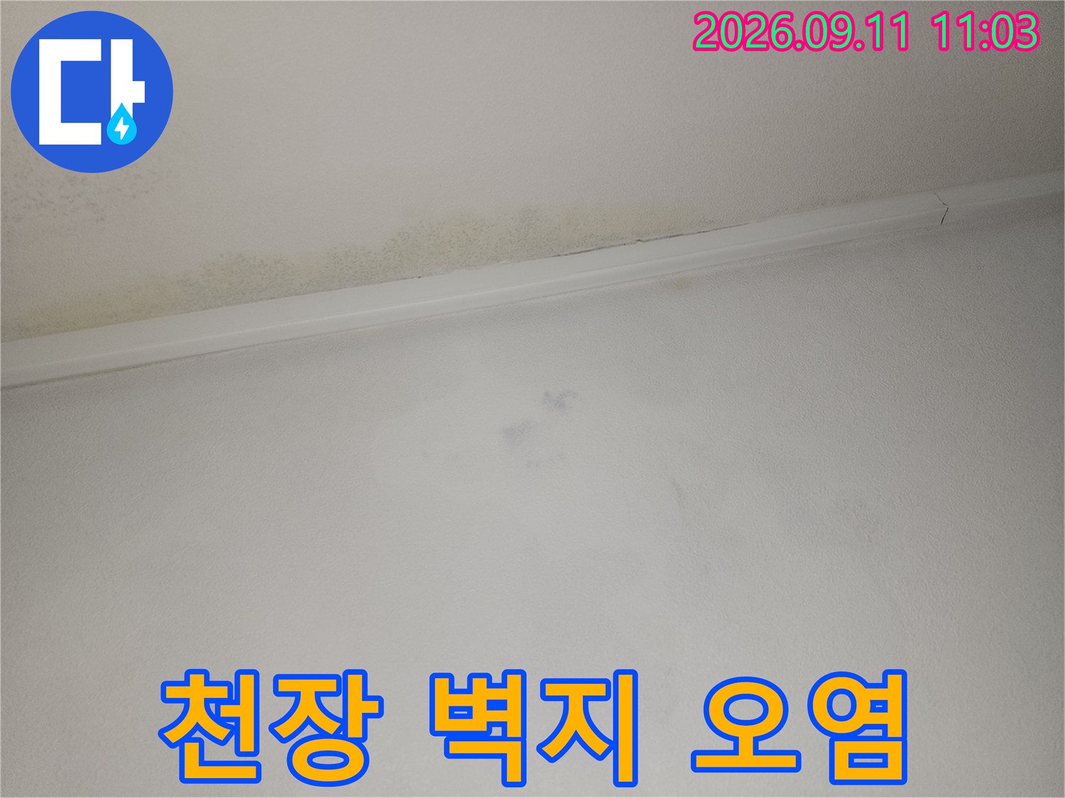 천장 몰딩 부근에 나타난 젖은 얼룩과 변색된 벽지