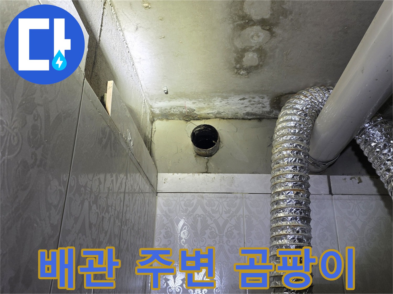 천장 내부 배관 주위의 습기와 곰팡이 발생 상태