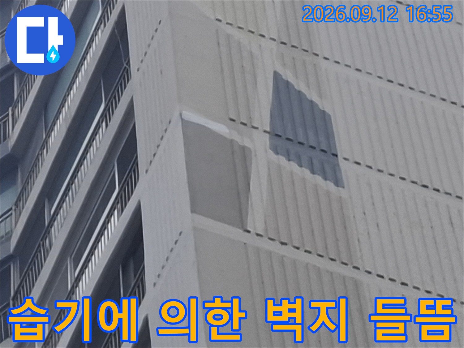 마두동 누수 현장-벽지와 석고보드의 오염 상태