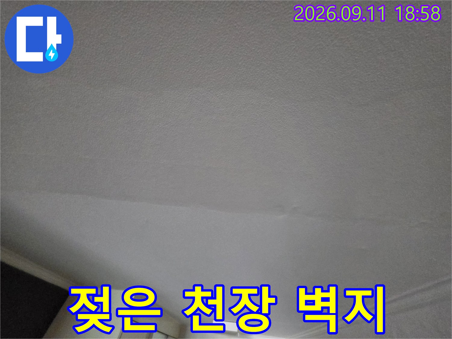 성동구 현장-천장 벽지가 물에 젖어 얼룩진 모습