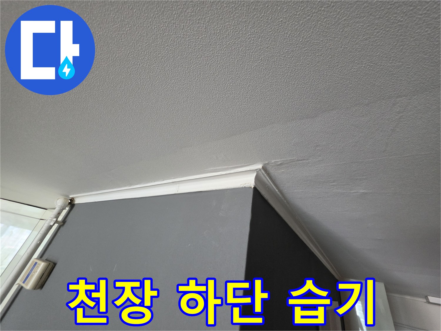 천장-끝부분의-축축한-물샘-상태