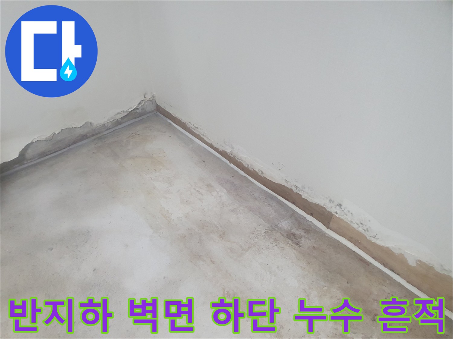 부천 춘의동 반지하 세대-벽면 모서리 하단부에 습기가 차고 도배지가 들뜬 상태입니다.