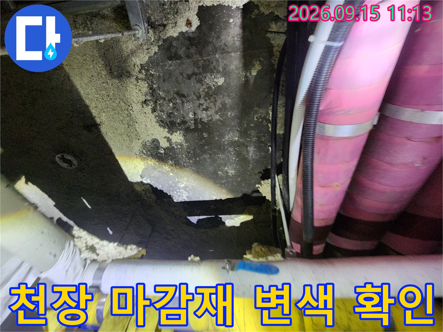 물에 젖어 어둡게 변한 천장 표면과 분홍색 보온 배관의 모습입니다.