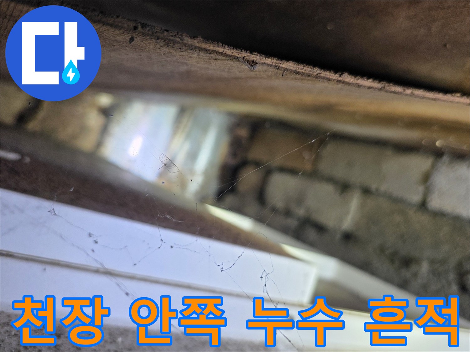 양재동 천장 점검-텍스 내부 배관 근처의 젖은 부위