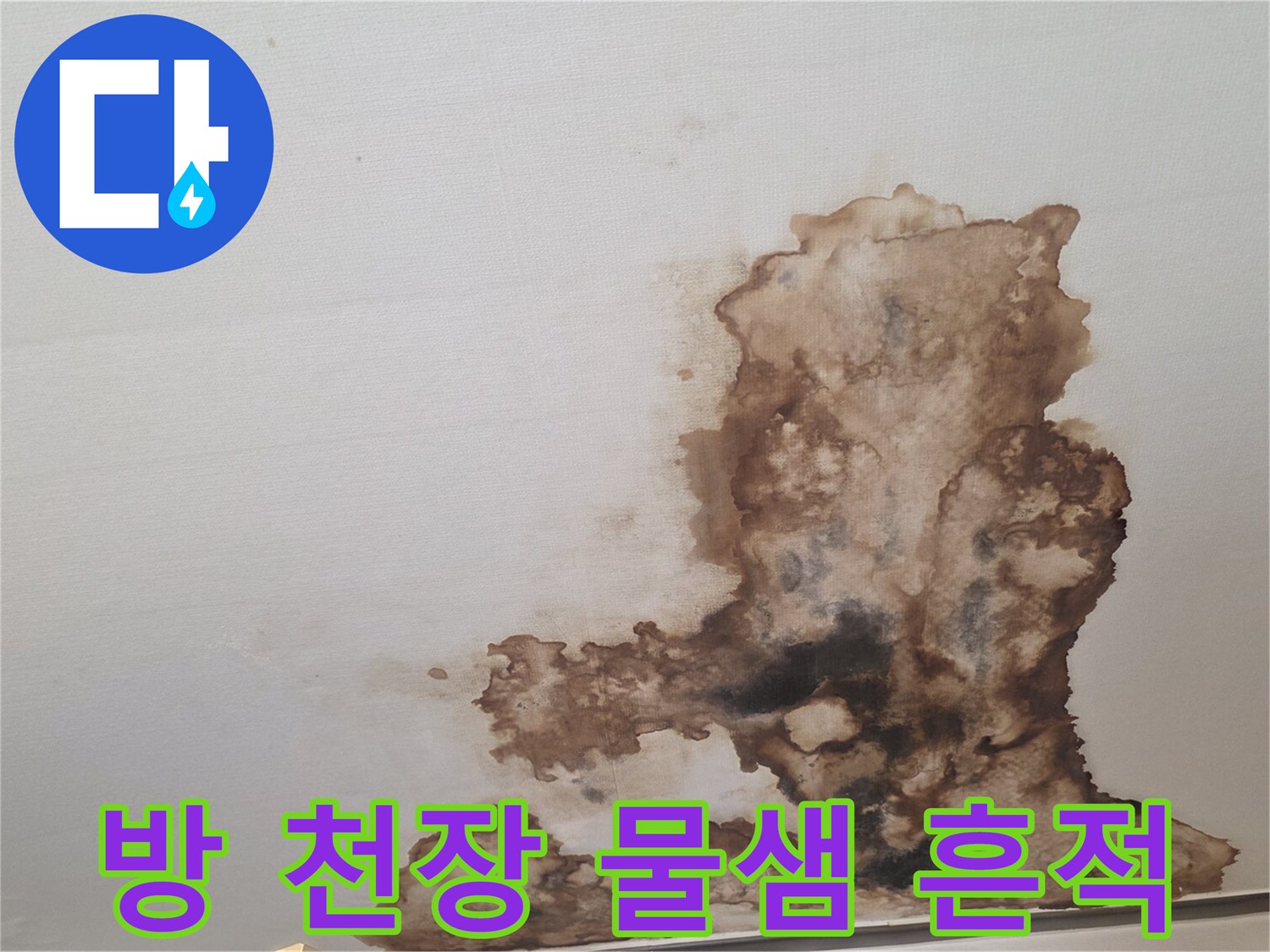 천장 벽지가 젖어 갈색으로 변한 누수 피해 현장 사진