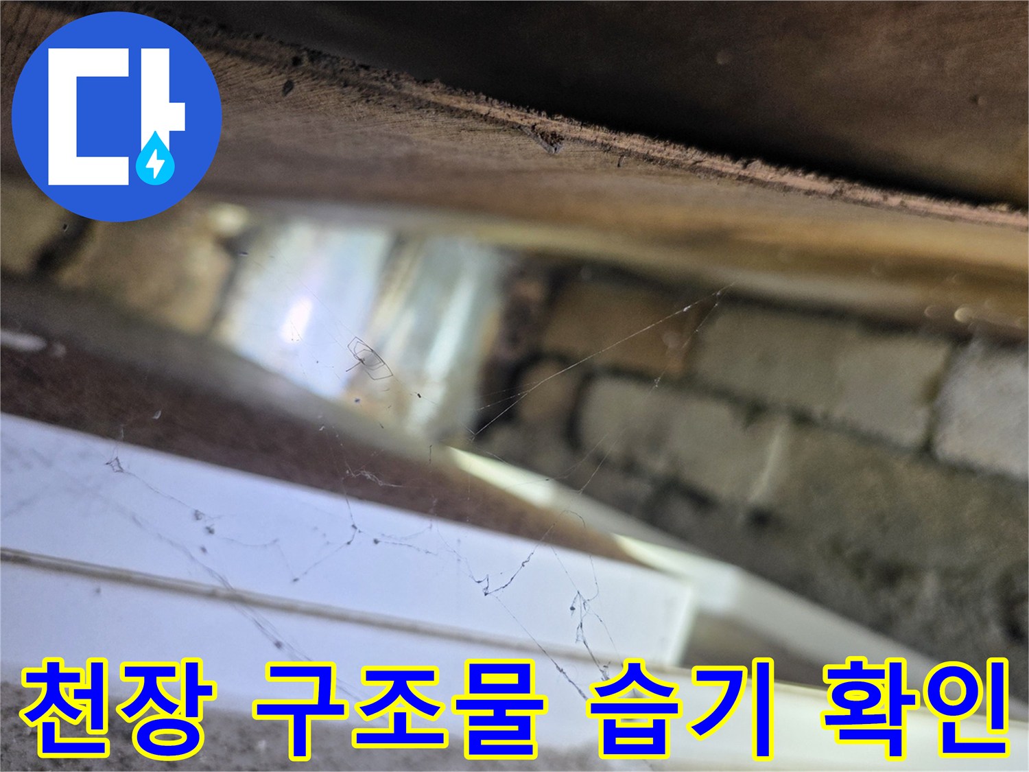 천장 텍스 내부 벽돌 및 배관 주변의 습윤 상태