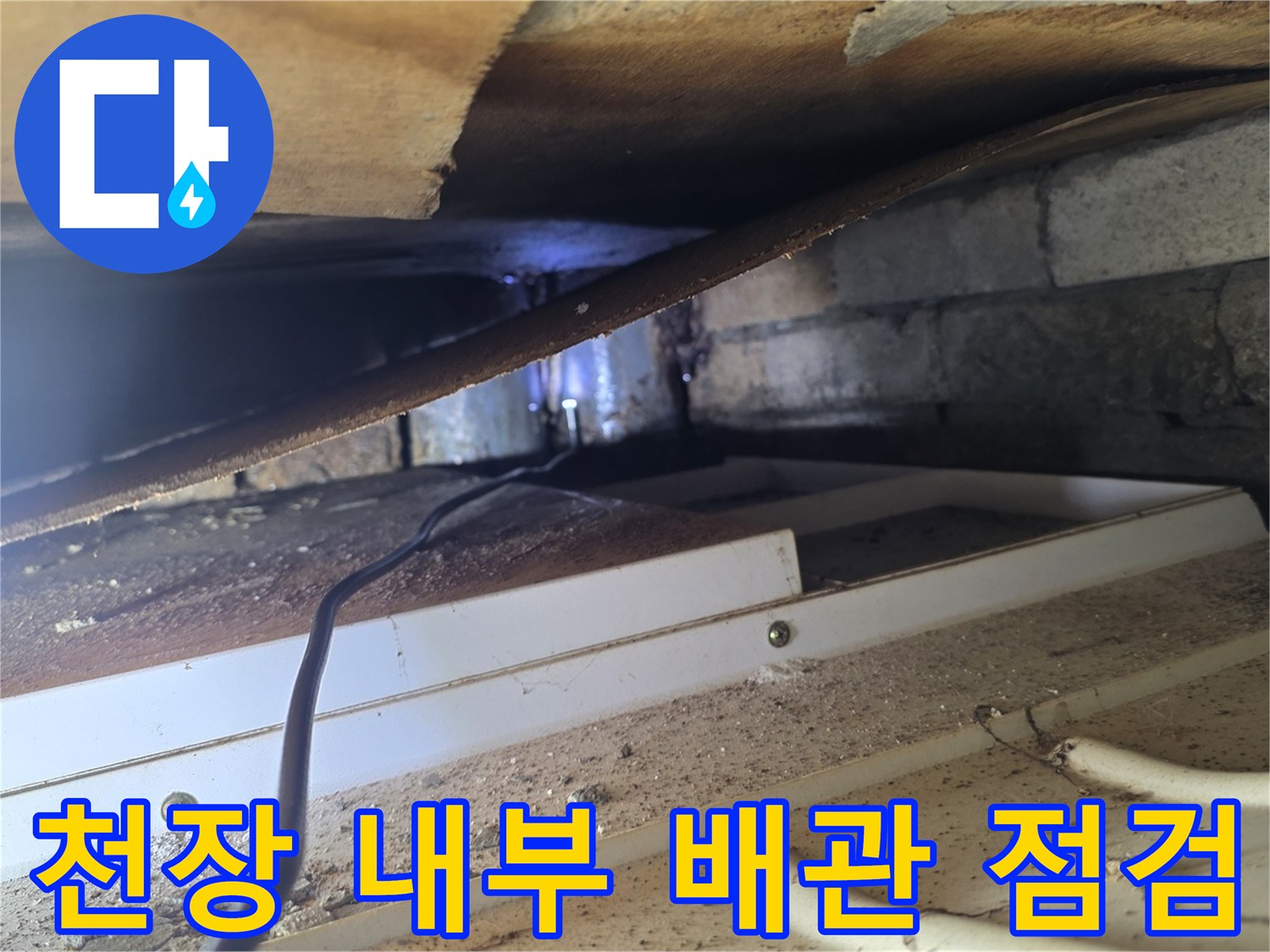 천장 텍스 안쪽의 습윤한 콘크리트와 배관 구조