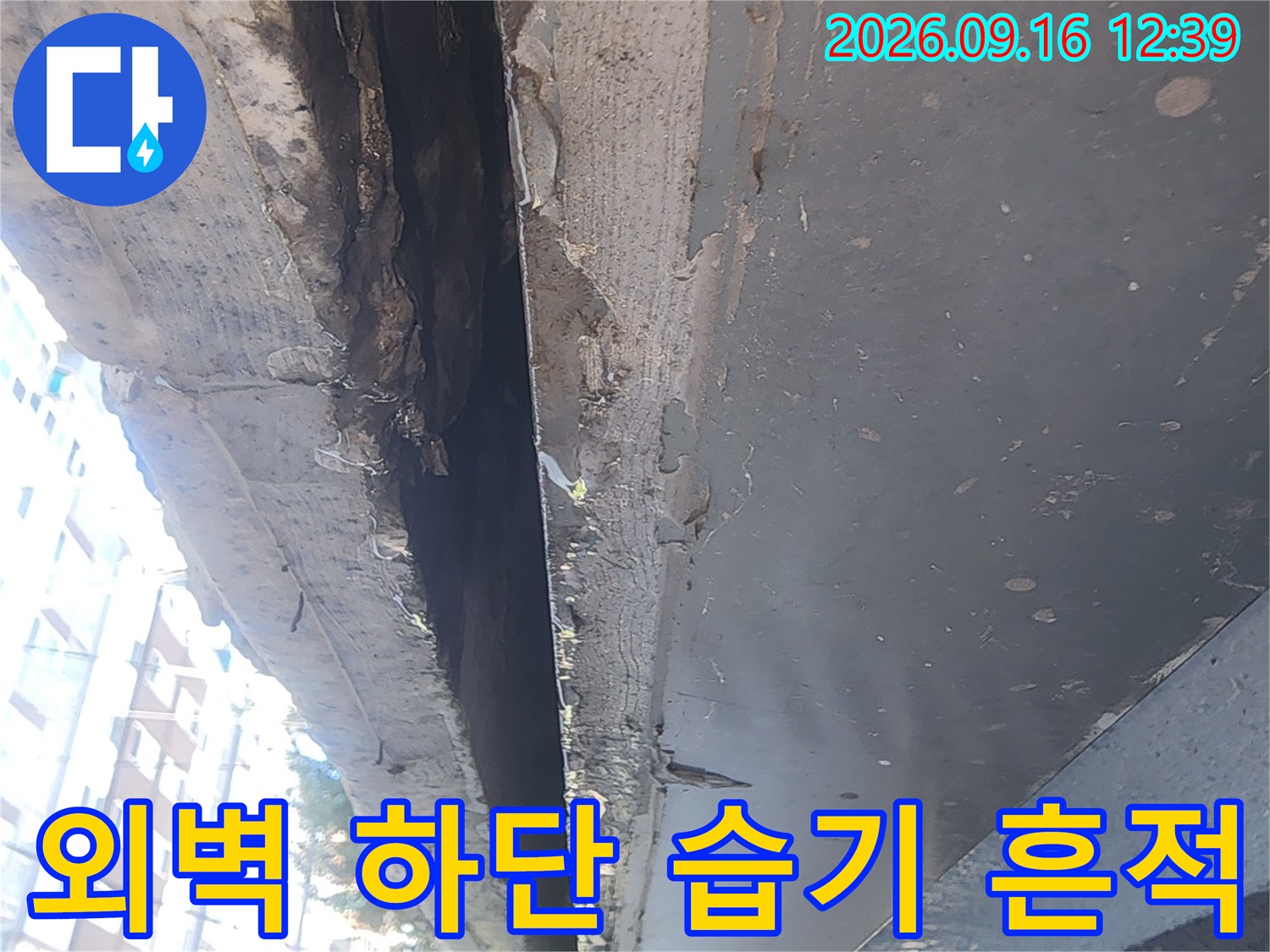 건물 벽면 마감재가 젖어 있고 일어난 상태를 보여줍니다.