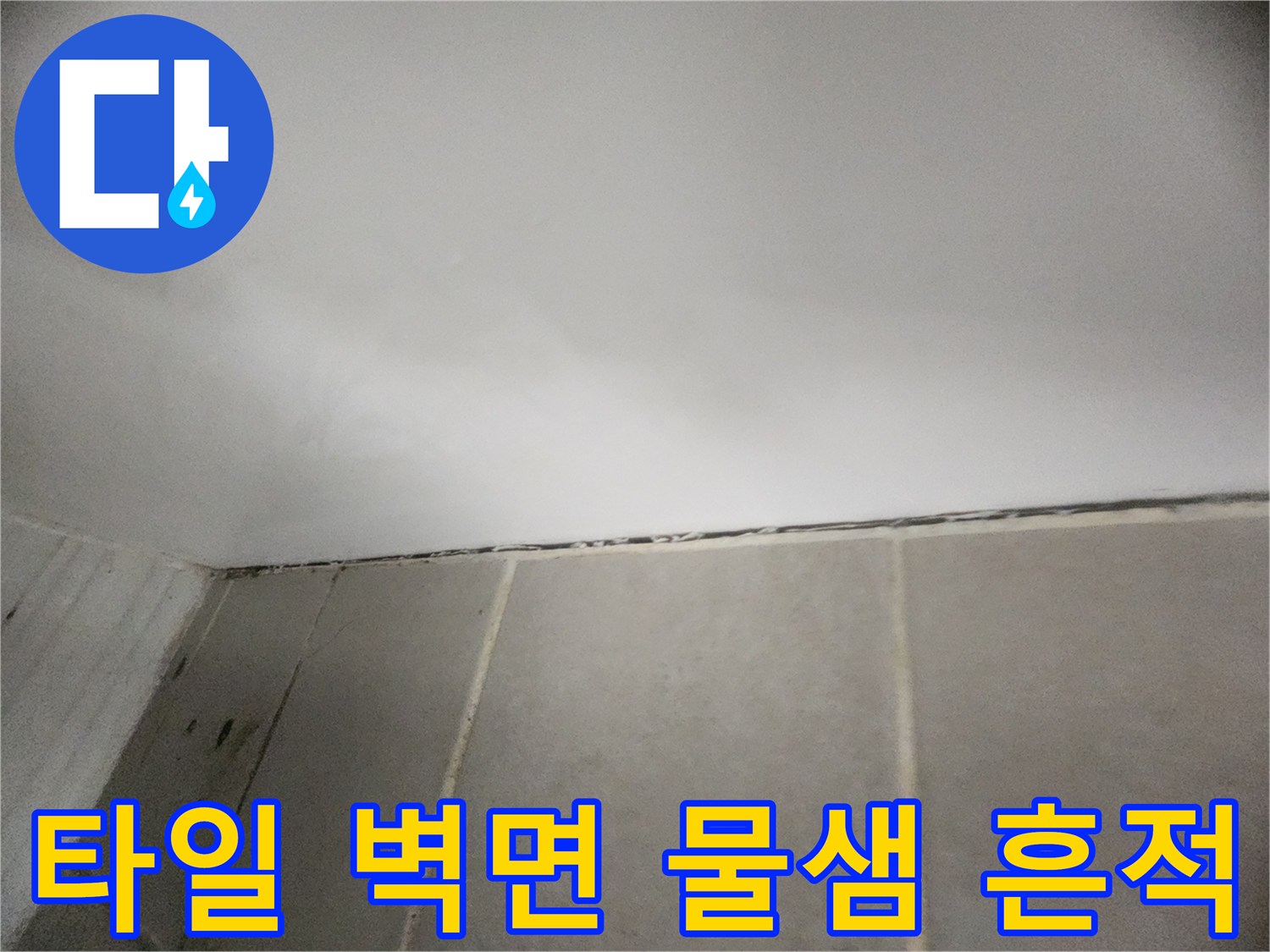 은평구 녹번동-천장과 타일 접합부의 습윤 상태