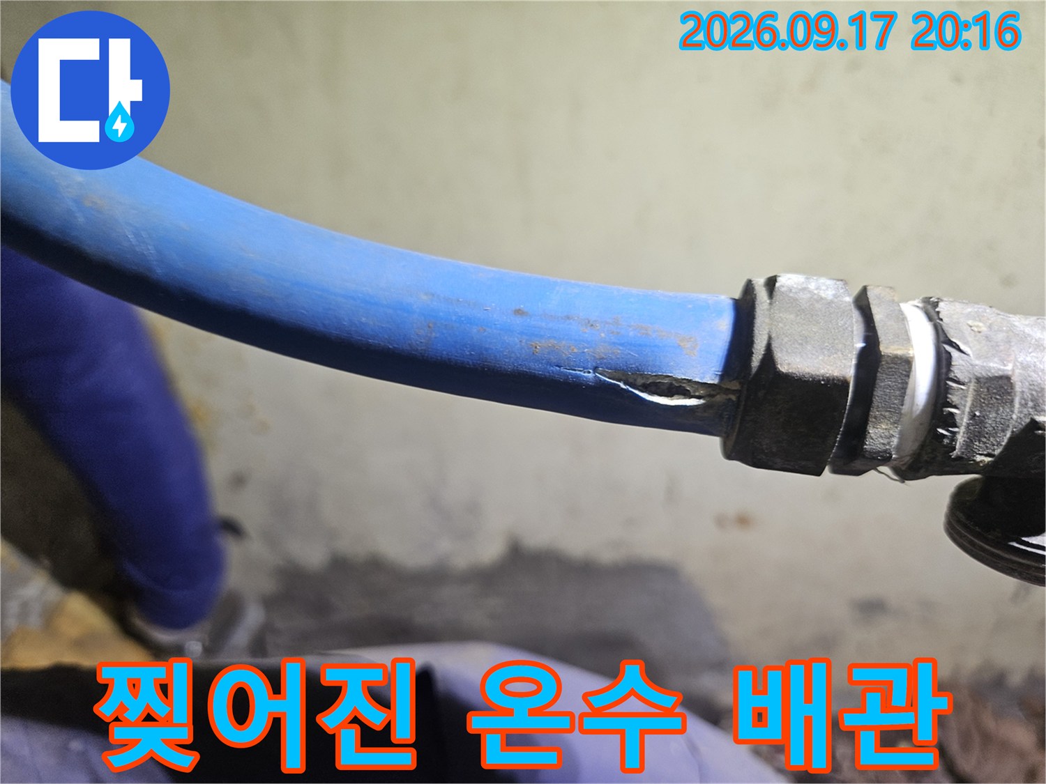 온수 공급용 파란색 배관의 찢어진 부위 - 배관 교체 필요성 확인
