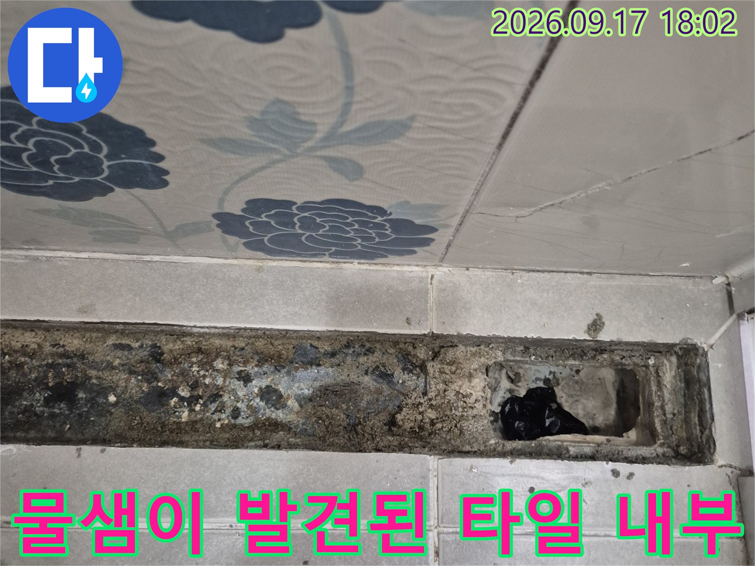 누수가 진행 중인 화장실-배수구 주변의 파손된 모습