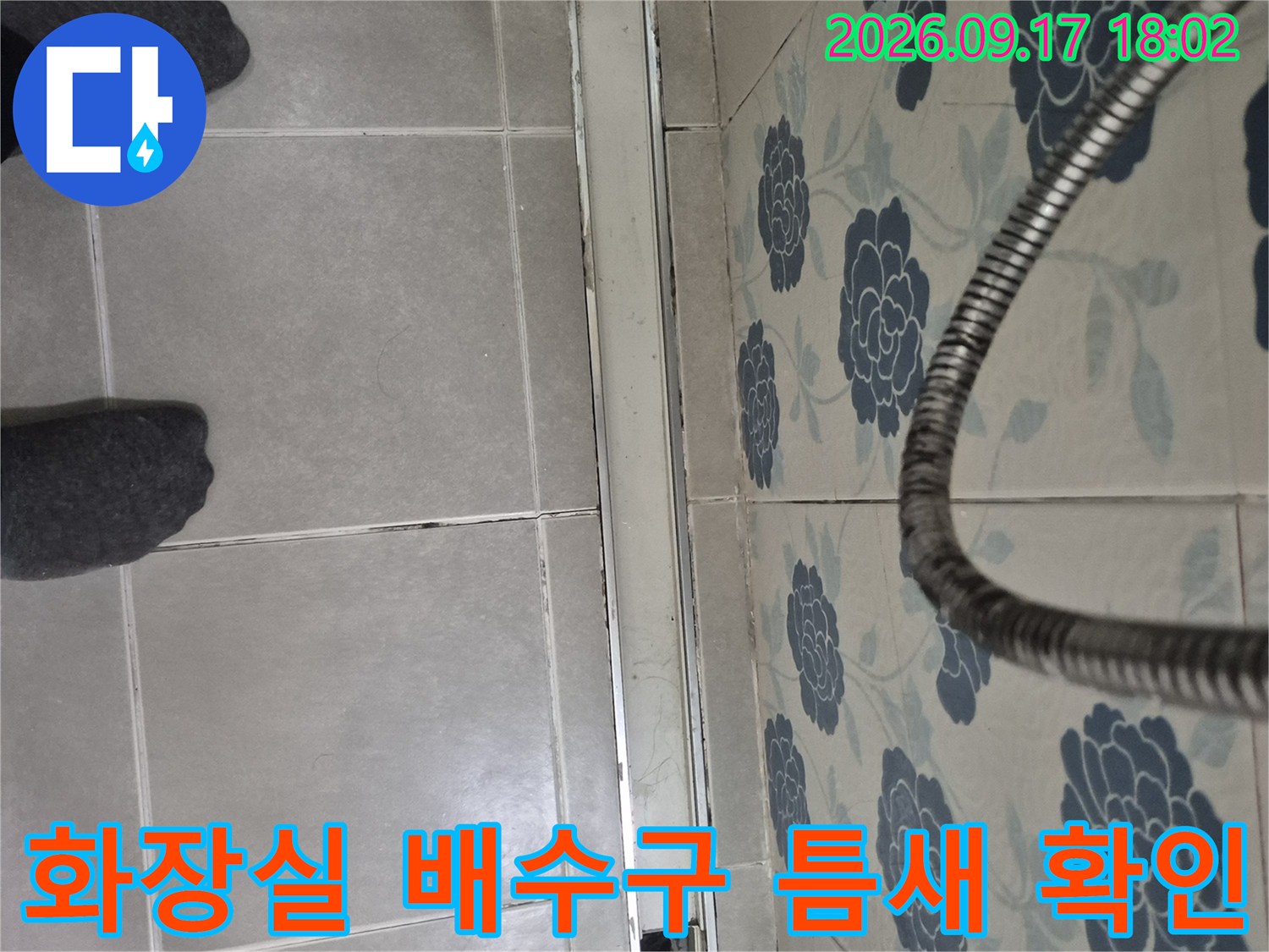 반송동 욕실 바닥-배수구 주변 타일 사이의 습기를 점검하는 모습