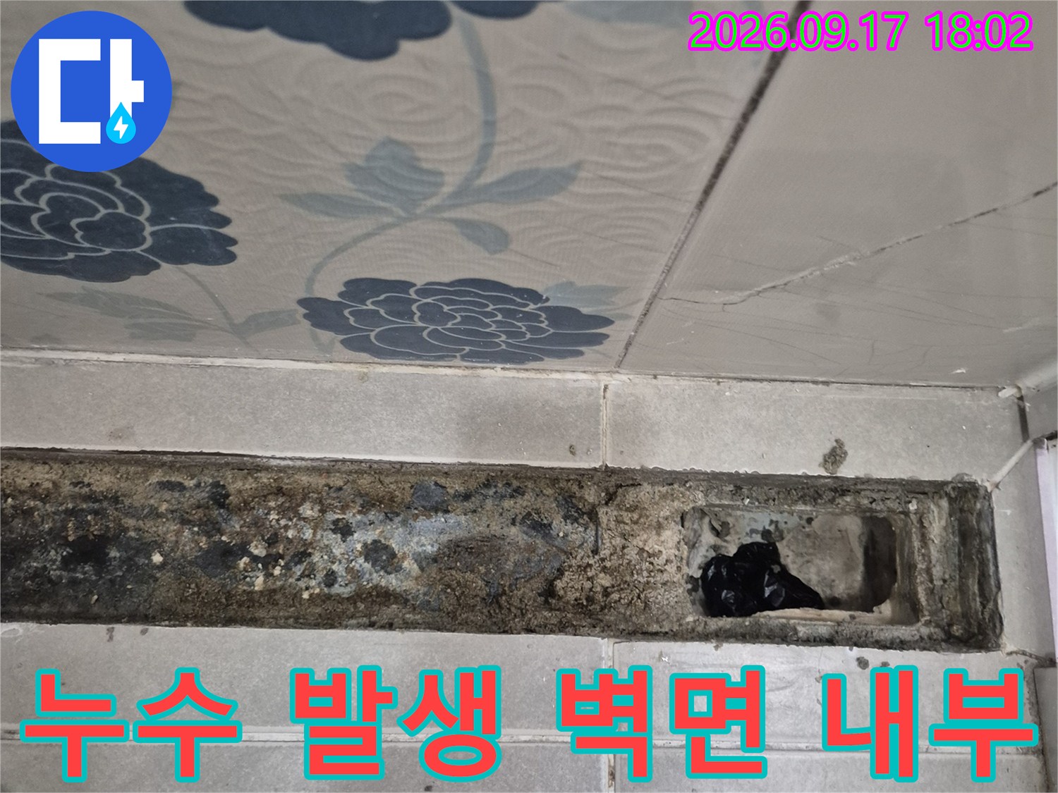 배수구 주변의-오염되고 습기가 가득한 타일 하단부 노출 부위