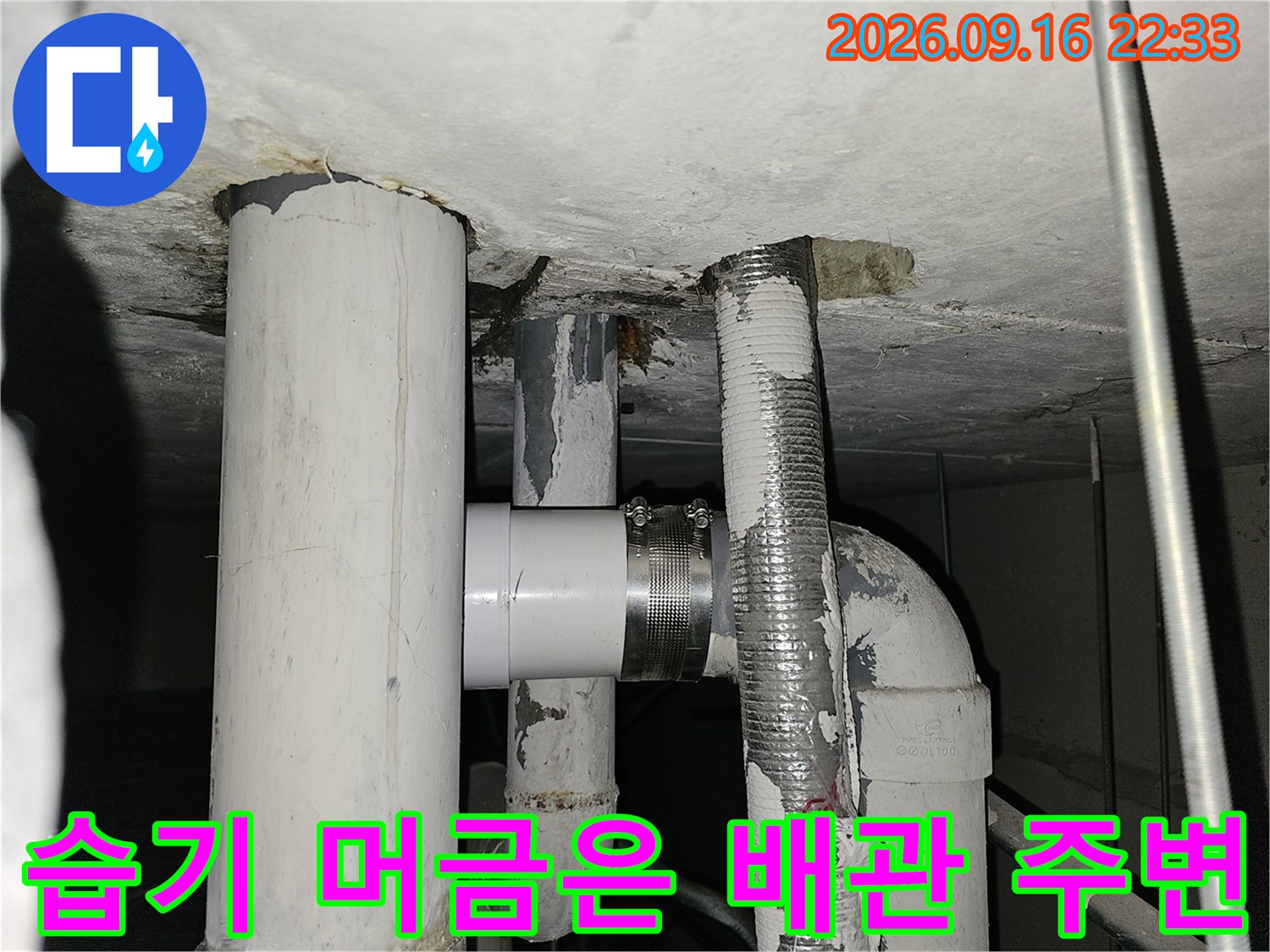 배관 연결 부위 주변의-습기와 오염된 마감재 모습입니다.