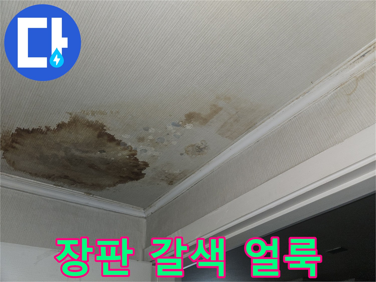 거실 장판에 발생한 커다란 갈색 누수 오염 부위 사진